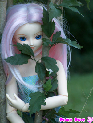 pixie